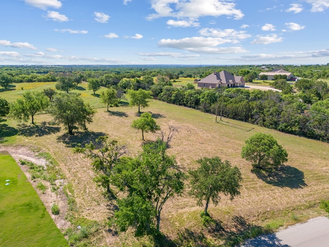 1019 Oak Bend Ln, Weatherford, TX 76088