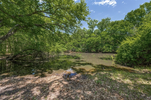 4942 US Highway 69, Denison, TX 75021 - view of yard with a wooded view