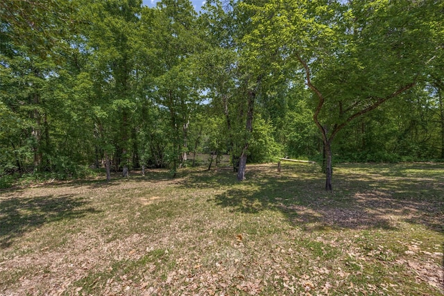 4942 US Highway 69, Denison, TX 75021 - view of local wilderness
