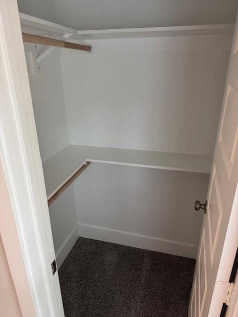 walk in closet with carpet