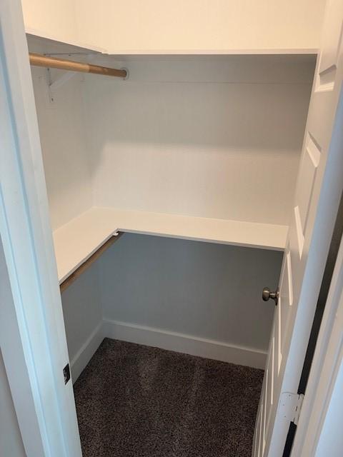 spacious closet with carpet flooring