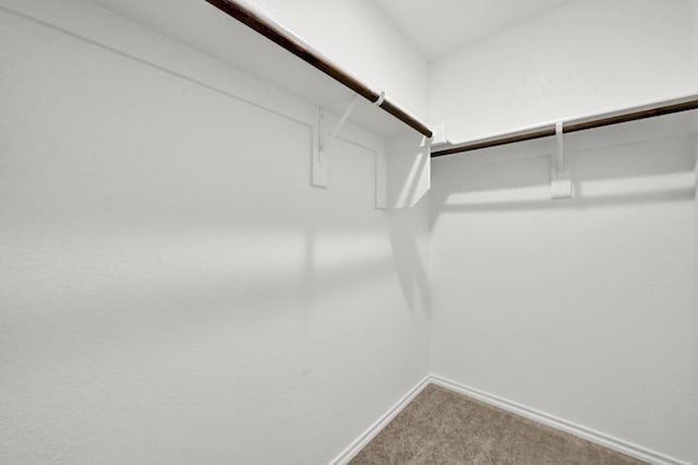 2867 Baneberry Ln, Mesquite, TX 75150 - spacious closet featuring carpet floors