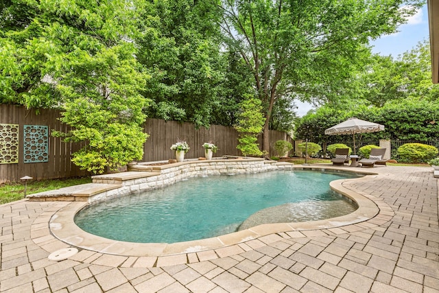 view of pool featuring a fenced backyard and a patio