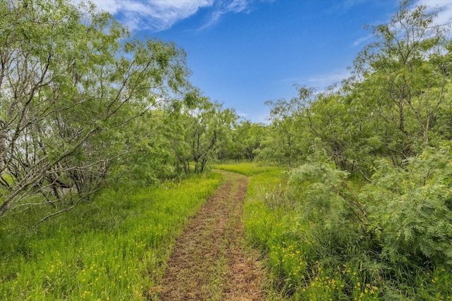 3601 Orchard Ln, Waco, TX 76705 - view of wooded area