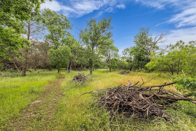 3601 Orchard Ln, Waco, TX 76705 - view of undeveloped land