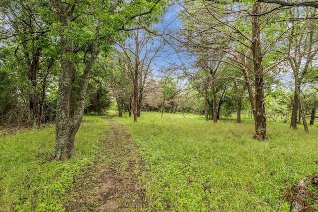 3601 Orchard Ln, Waco, TX 76705 - view of yard