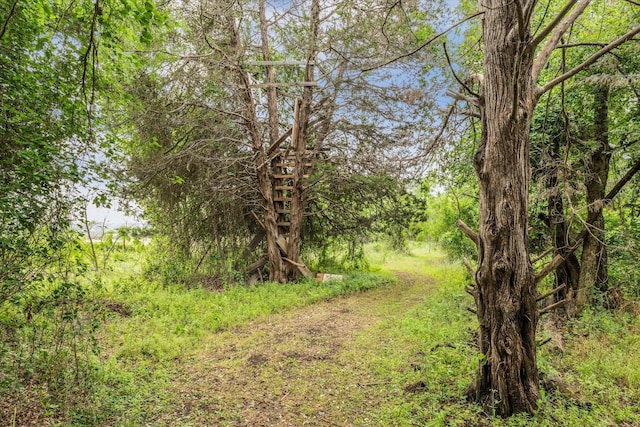 3601 Orchard Ln, Waco, TX 76705 - view of local wilderness