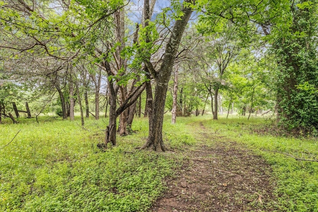 3601 Orchard Ln, Waco, TX 76705 - view of yard