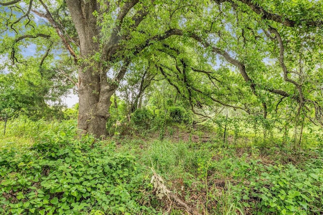 3601 Orchard Ln, Waco, TX 76705 - view of woods