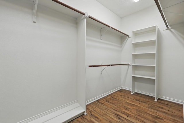 spacious closet featuring wood finished floors