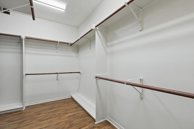 walk in closet featuring wood finished floors