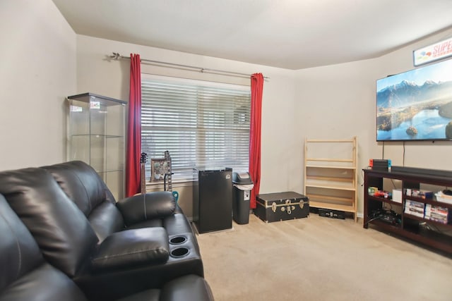 living room featuring carpet flooring