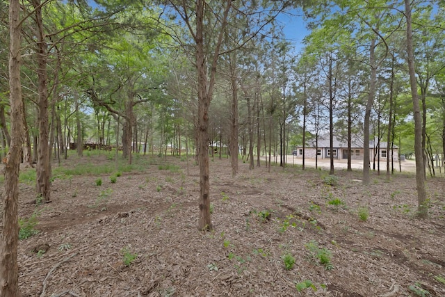 164 Vz County Road 2433, Canton, TX 75103 - view of yard