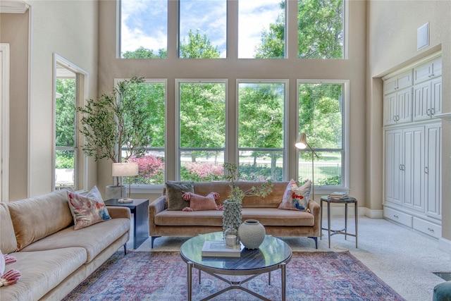 1900 Pembroke Ln, Mckinney, TX 75072 - carpeted living room featuring a towering ceiling