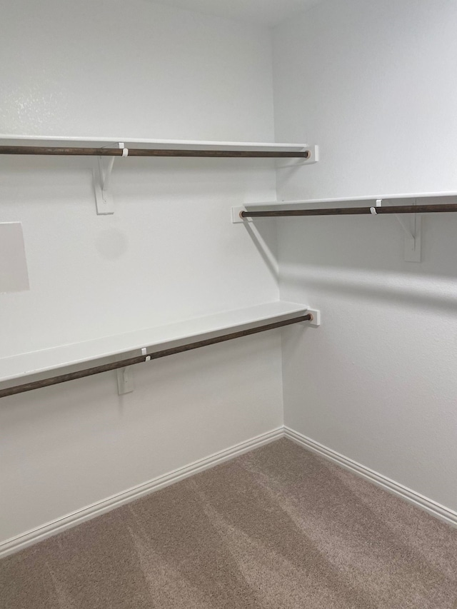 1613 Pine Valley Dr, Fort Worth, TX 76052 - walk in closet featuring carpet