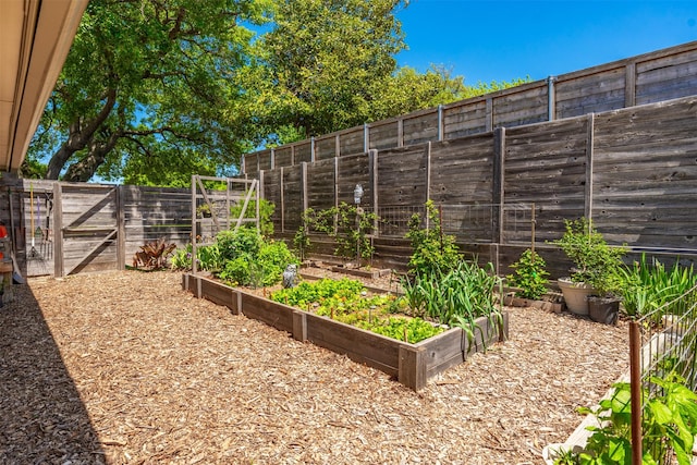 fenced backyard with a vegetable garden
