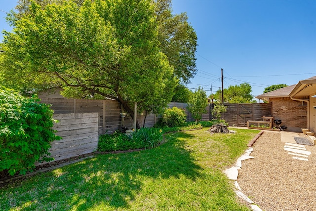 view of yard