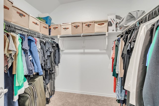 3204 Peacock Ln, Celina, TX 75009 - spacious closet featuring carpet flooring and lofted ceiling