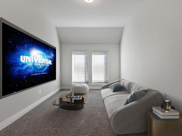 1423 Daisy Corner Dr, Celina, TX 75078 - carpeted home theater with vaulted ceiling and baseboards