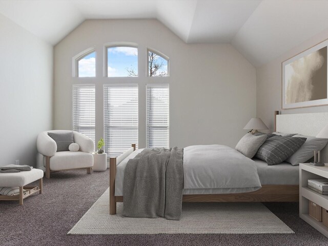 1423 Daisy Corner Dr, Celina, TX 75078 - bedroom with carpet and vaulted ceiling