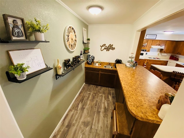 kitchen with dark wood-style flooring, ornamental molding, a sink, oven, and under cabinet range hood