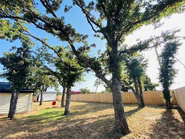 view of yard featuring an outbuilding and a shed