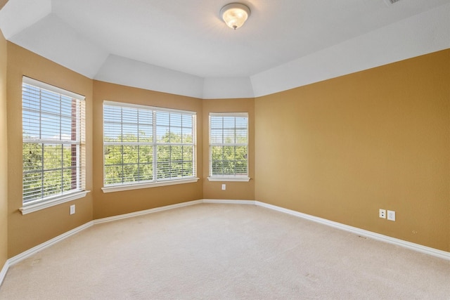 2609 Green Oak Dr, Carrollton, TX 75010 - empty room with light carpet, plenty of natural light, and baseboards