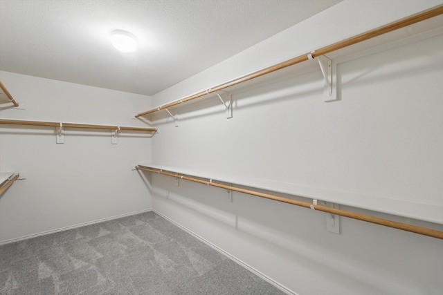 4800 Blue Top Dr, Fort Worth, TX 76179 - spacious closet featuring carpet flooring