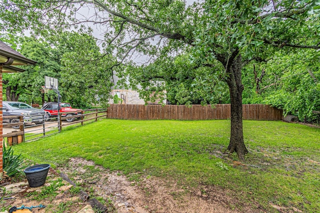 356 Old Justin Rd, Argyle, TX 76226 - view of yard
