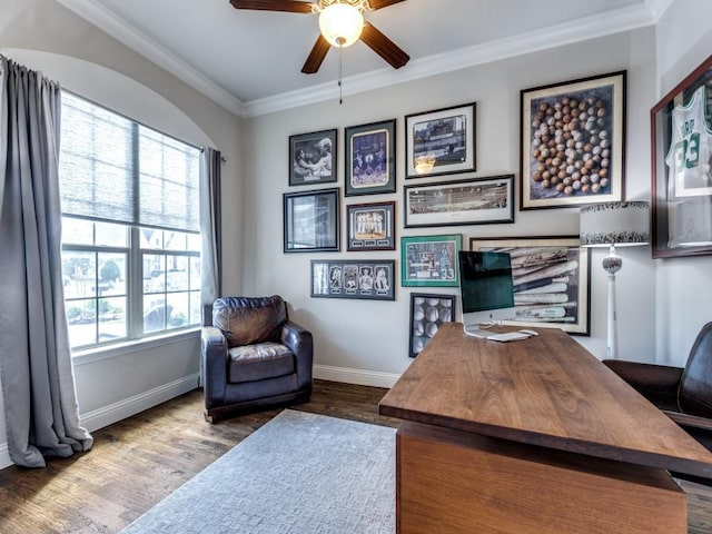 4400 Bristleleaf Ln, Prosper, TX 75078 - office space featuring a ceiling fan, plenty of natural light, wood finished floors, baseboards, and ornamental molding