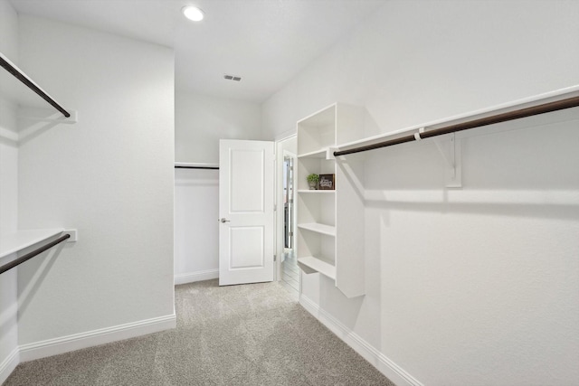 spacious closet with carpet flooring
