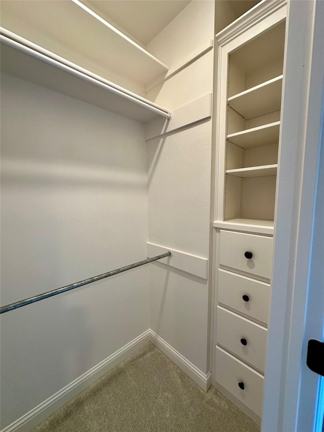 723 Dumaine Dr, Bossier City, LA 71111 - walk in closet featuring carpet floors