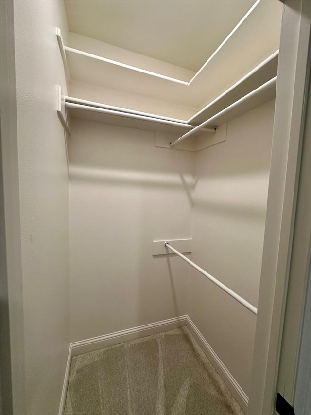723 Dumaine Dr, Bossier City, LA 71111 - walk in closet with carpet floors