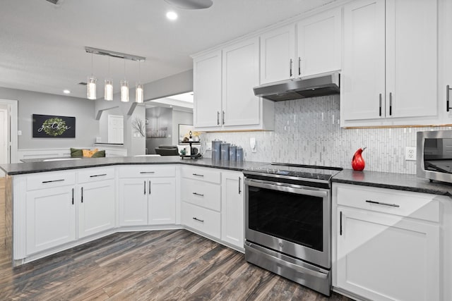 kitchen featuring appliances with stainless steel finishes, under cabinet range hood, dark wood-style floors, a peninsula, and tasteful backsplash