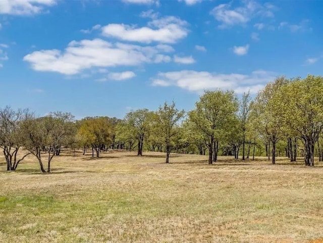 1035 Estancia Blvd, Weatherford, TX 76088 - view of nature