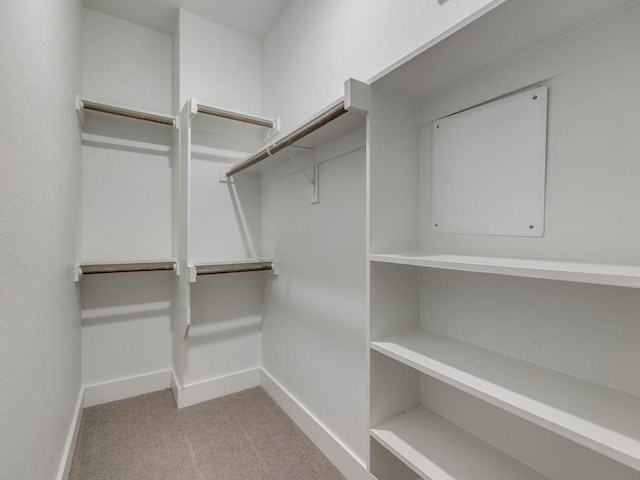 1129 Manderly Ct, Dallas, TX 75204 - spacious closet with carpet floors