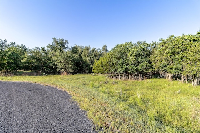 TBA Cheyenne Pass, Salado, TX 76571