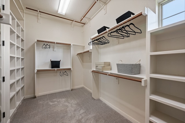 1665 Florence Rd, Keller, TX 76262 - walk in closet with carpet floors