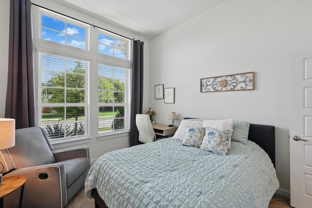 1837 Sebright Trl, Fort Worth, TX 76052 - bedroom featuring multiple windows and carpet floors