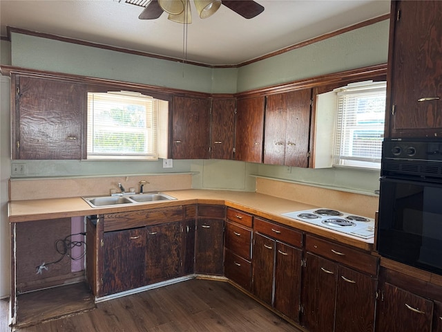 425 S 1st St W, Clyde, TX 79510 - kitchen with oven, cooktop, a sink, dark wood-style floors, and light countertops