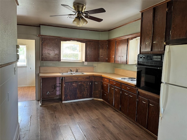 425 S 1st St W, Clyde, TX 79510 - kitchen featuring white appliances, a sink, dark wood-type flooring, healthy amount of natural light, and ornamental molding