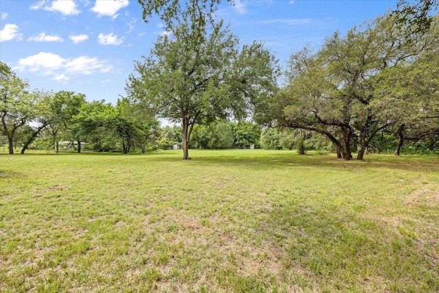 view of grassy yard with view of scattered trees