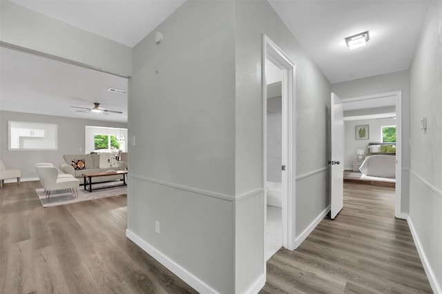 hall featuring wood finished floors, plenty of natural light, and baseboards