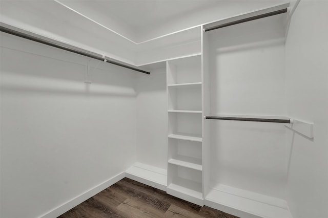 walk in closet featuring dark wood-type flooring