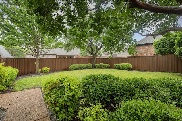 842 Turquoise Pt, Rockwall, TX 75032 - view of yard