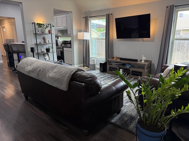 1253 E Ramsey Ave, Fort Worth, TX 76104 - living area featuring dark wood-type flooring, vaulted ceiling, and baseboards