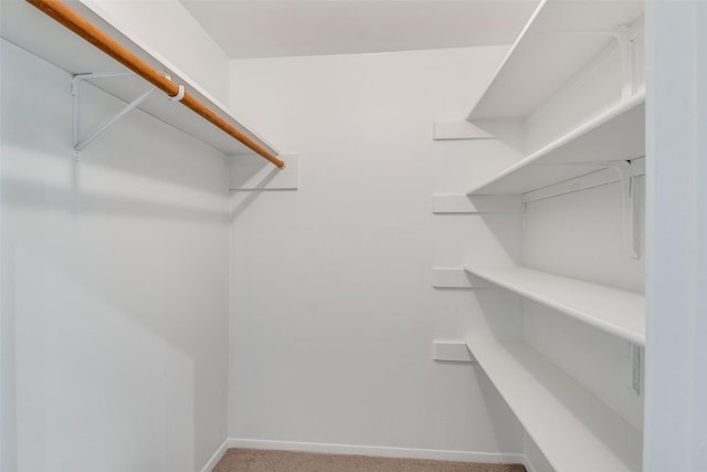 3301 Regent Dr, Plano, TX 75075 - walk in closet with carpet