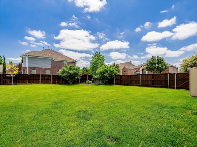 1413 Prairie Dr, Carrollton, TX 75007 - view of yard