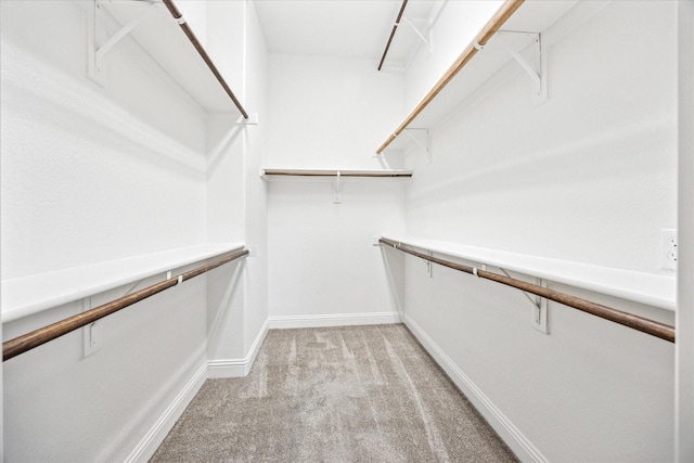 5013 Spruce, Krum, TX 76249 - spacious closet featuring light colored carpet