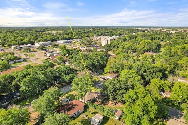 aerial view of a forest